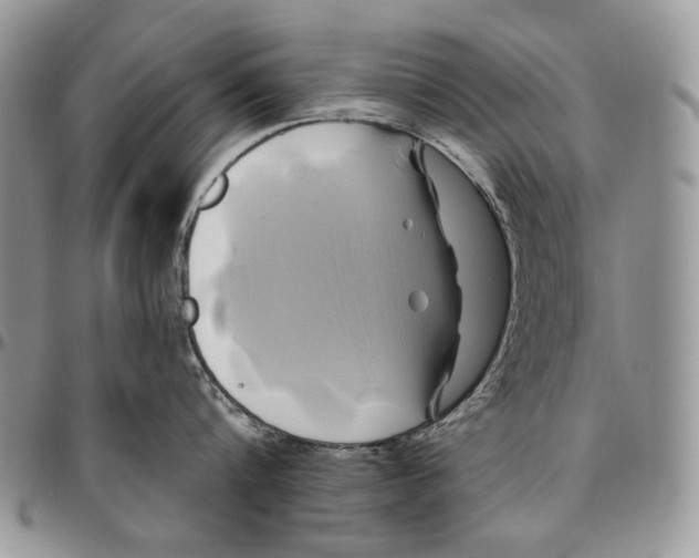 X0000096380816200802141429