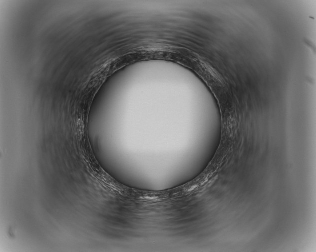 X0000096380821200802141429