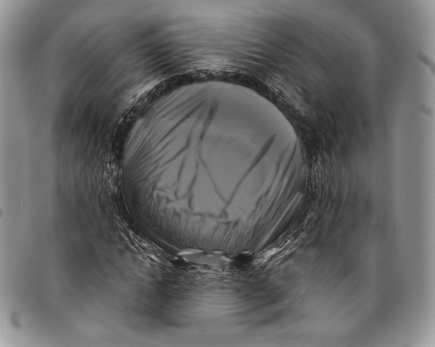 X0000096380822200802141429