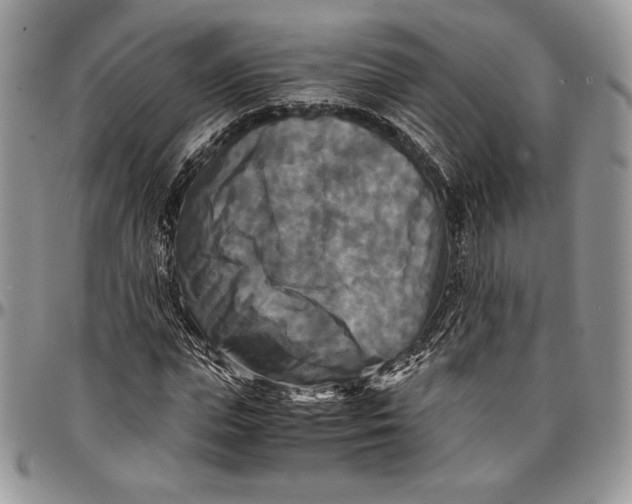 X0000096380823200802141429