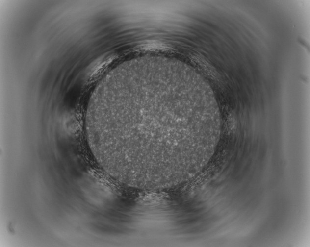 X0000096380824200802141429