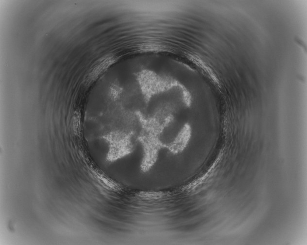 X0000096380825200802141429