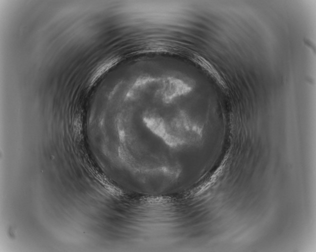 X0000096380826200802141429