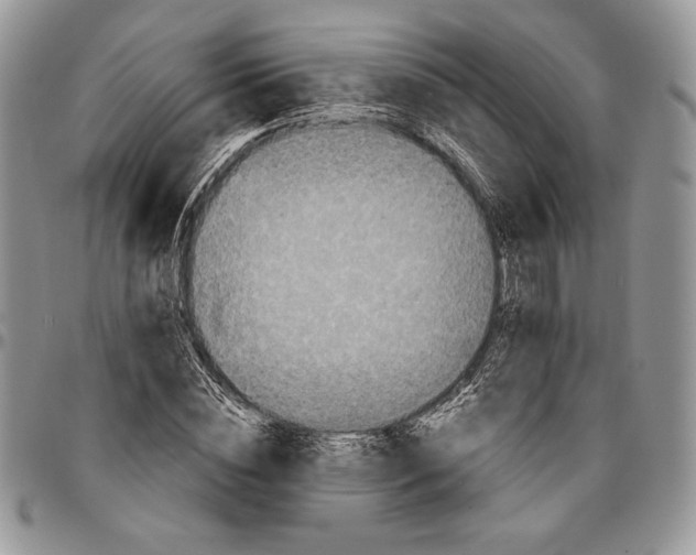 X0000096380828200802141429