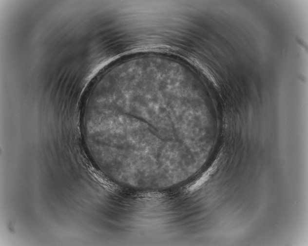 X0000096380830200802141429