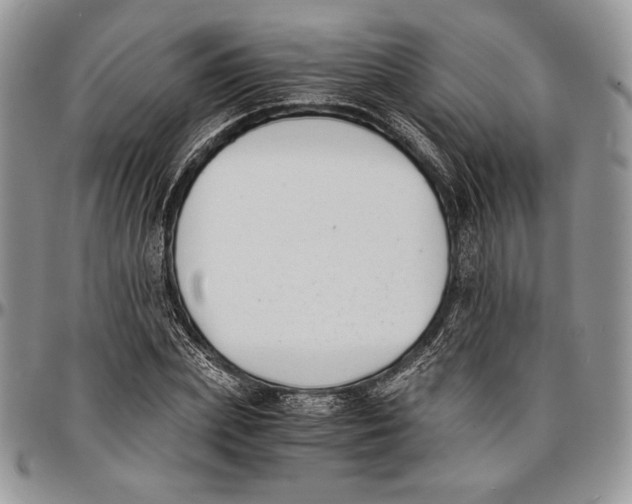 X0000096380831200802141429