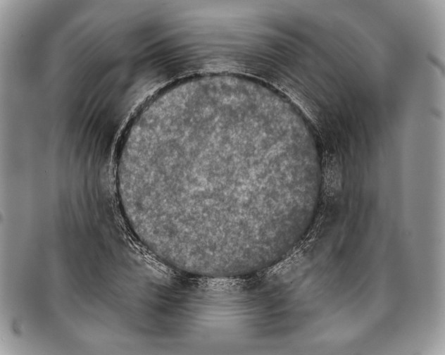 X0000096380832200802141429