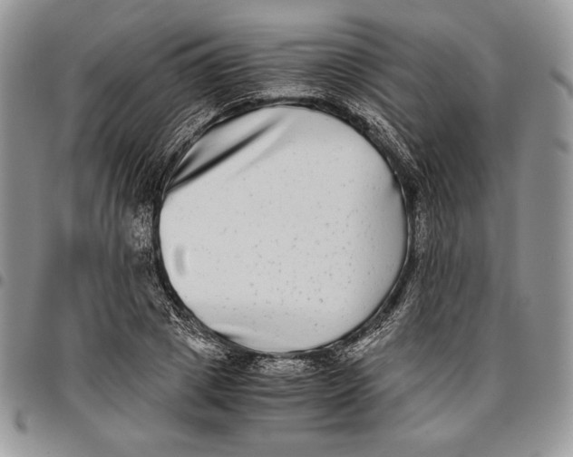 X0000096380833200802141429