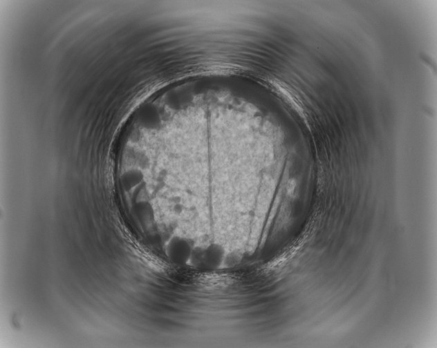 X0000096380835200802141429