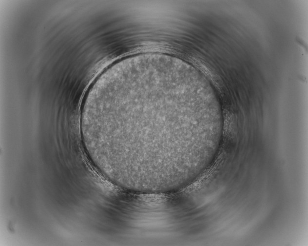 X0000096380836200802141429