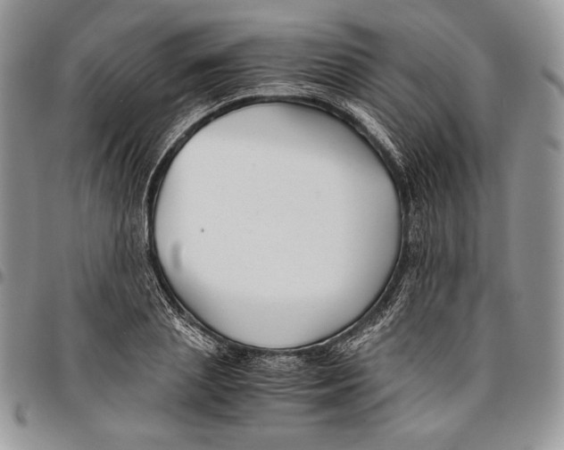 X0000096380837200802141429