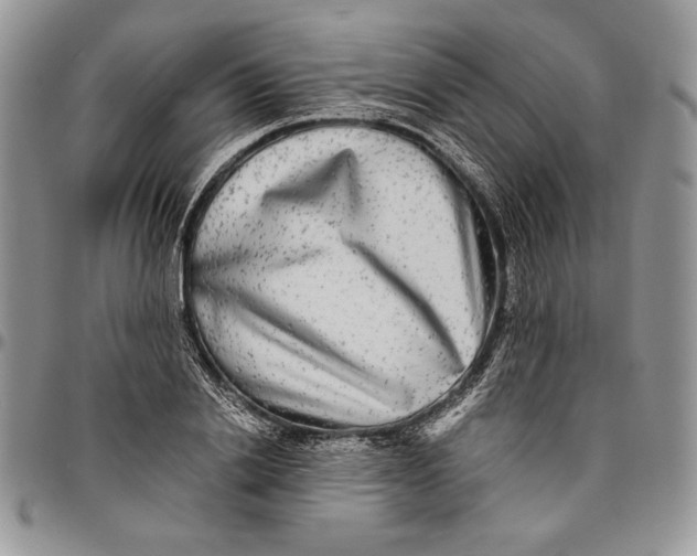 X0000096380838200802141429