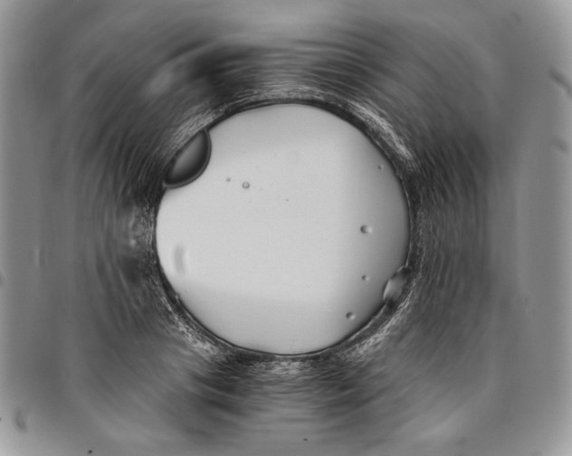 X0000096380841200802141429