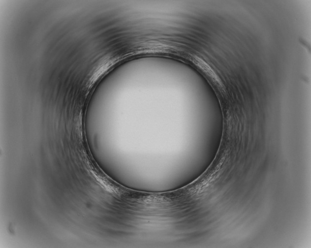 X0000096380842200802141429