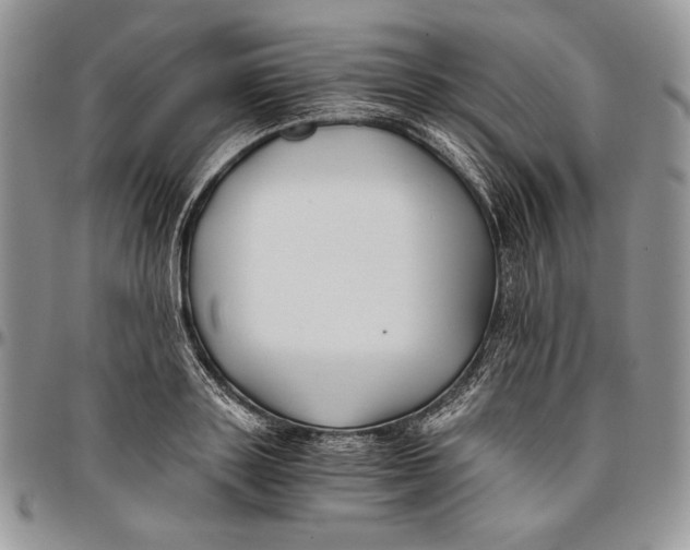 X0000096380843200802141429