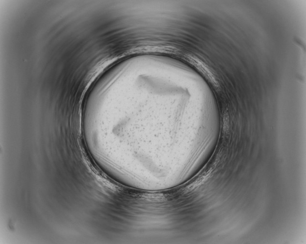 X0000096380844200802141429