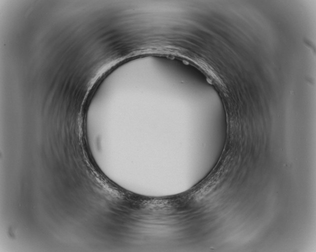 X0000096380846200802141429