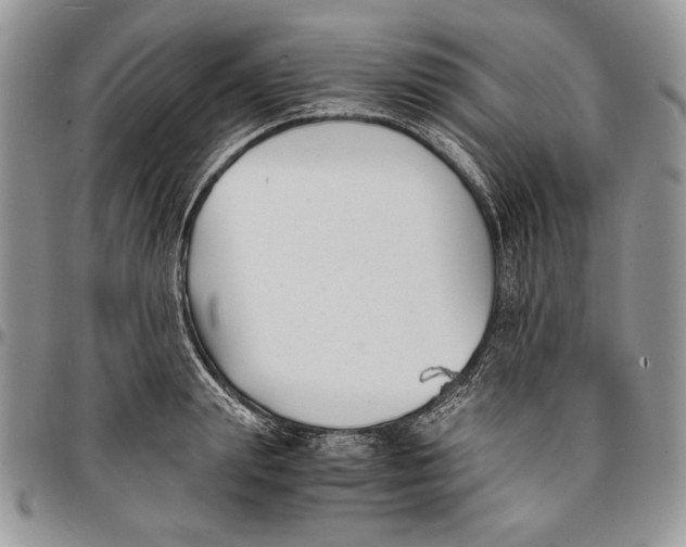 X0000096380847200802141429