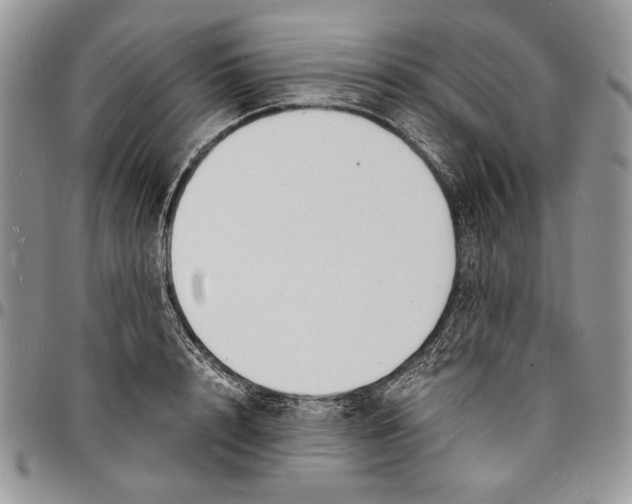 X0000096380848200802141429