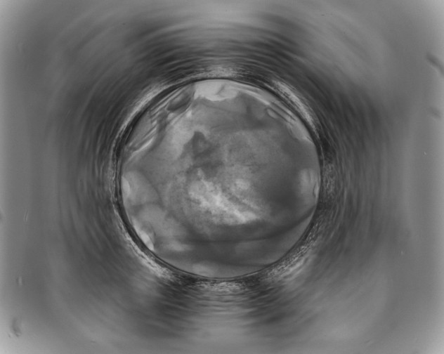 X0000096380851200802141429