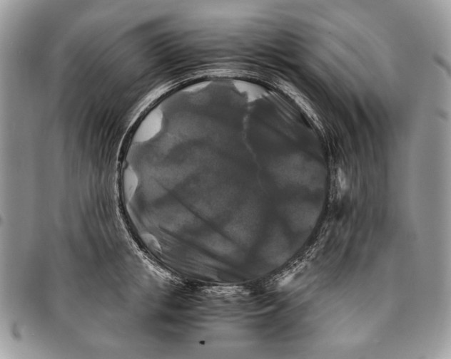 X0000096380853200802141429