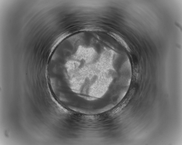 X0000096380855200802141429