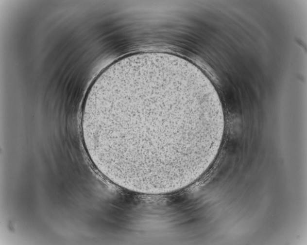 X0000096380856200802141429