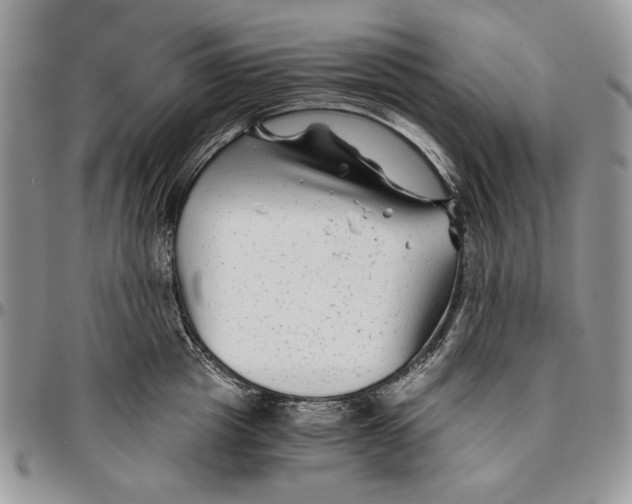 X0000096380857200802141429