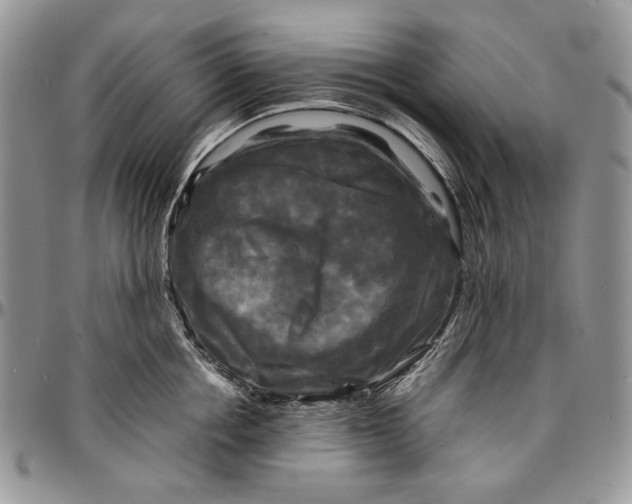 X0000096380858200802141429