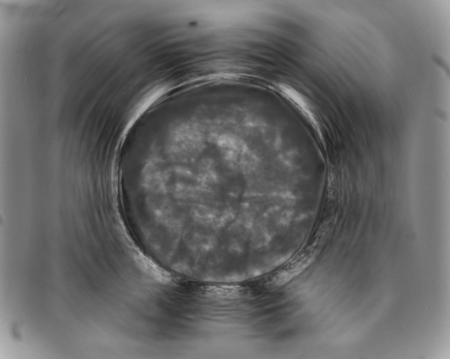 X0000096380859200802141429