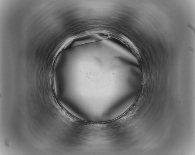 X0000096380860200802141429