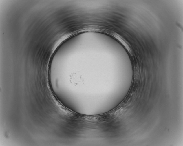 X0000096380861200802141429