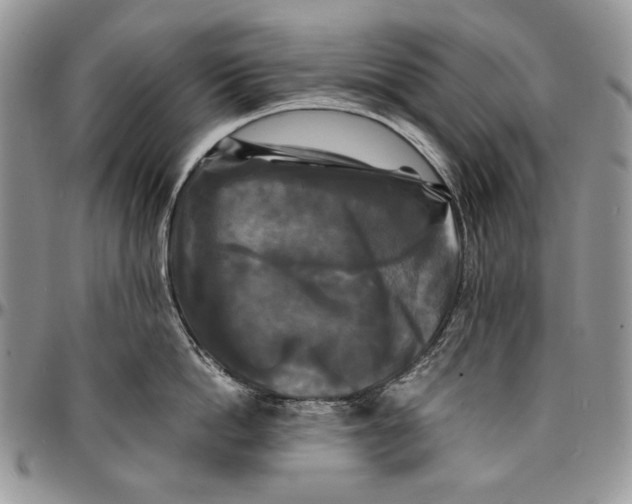 X0000096380862200802141429