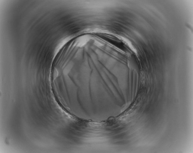 X0000096380863200802141429