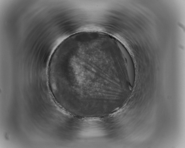 X0000096380864200802141429