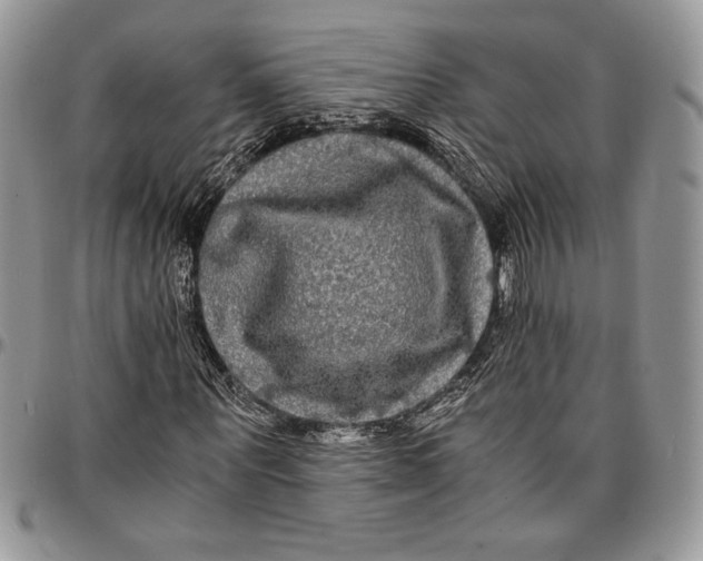 X0000096380867200802141429