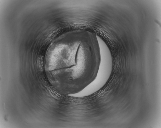 X0000096380868200802141429