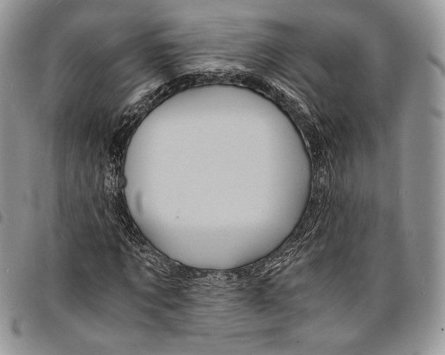 X0000096380869200802141429