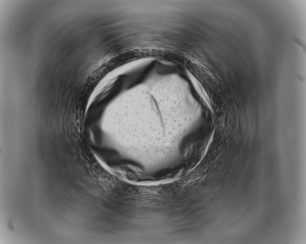 X0000096380870200802141429