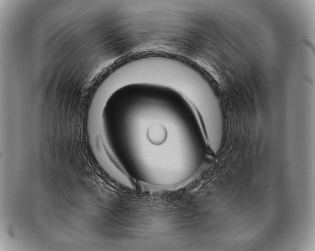 X0000096380872200802141429