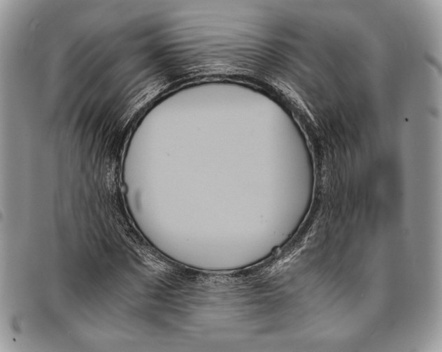 X0000096380873200802141429