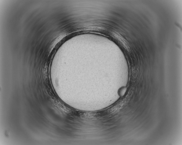 X0000096380875200802141429