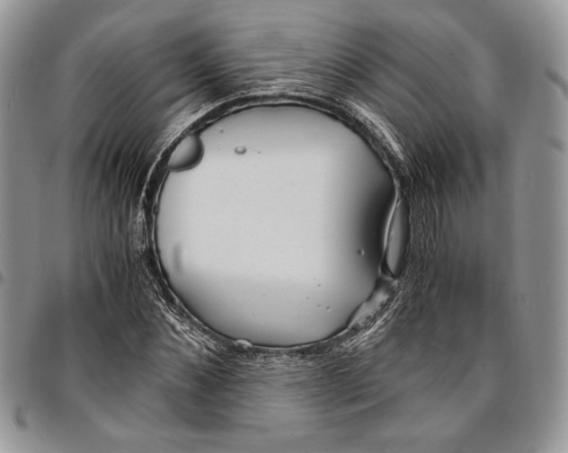 X0000096380876200802141429