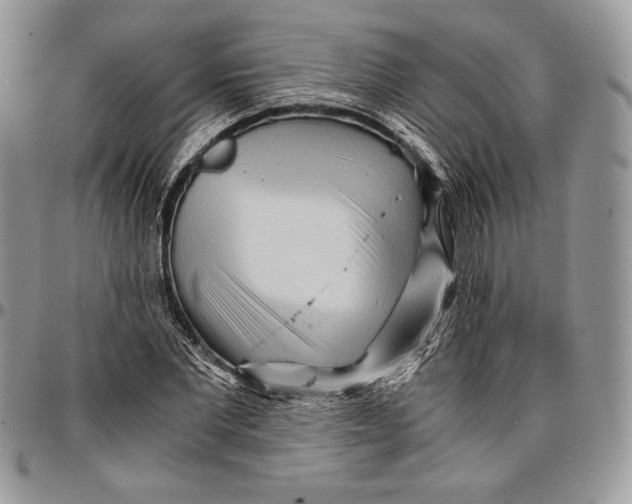 X0000096380877200802141429