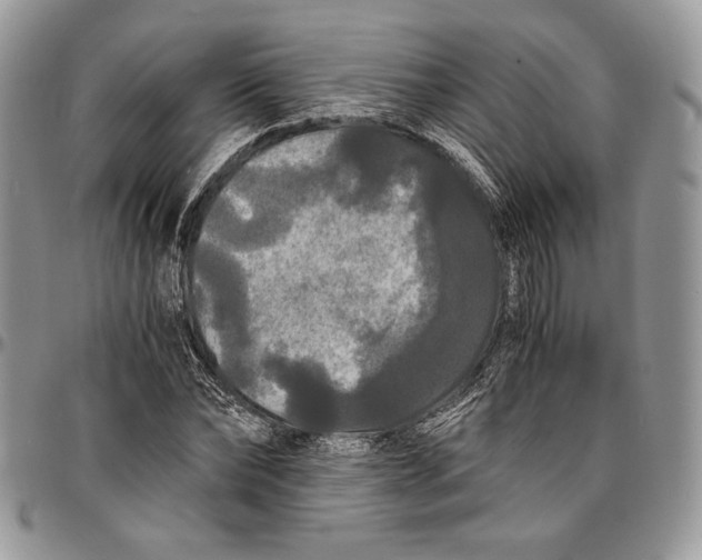 X0000096380878200802141429