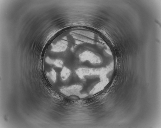 X0000096380879200802141429