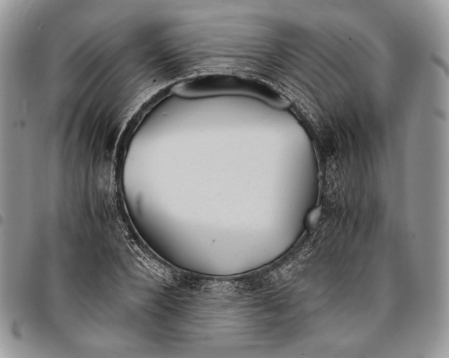 X0000096380880200802141429