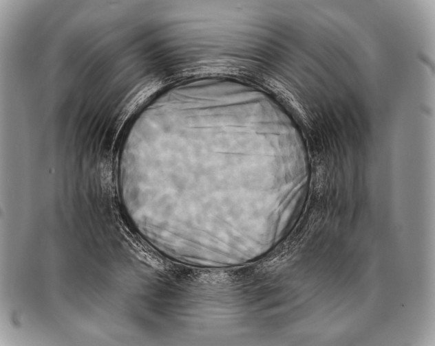 X0000096380882200802141429