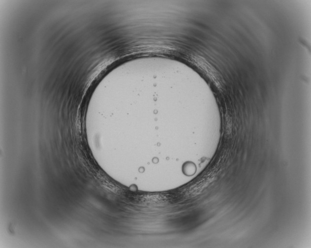 X0000096380883200802141429