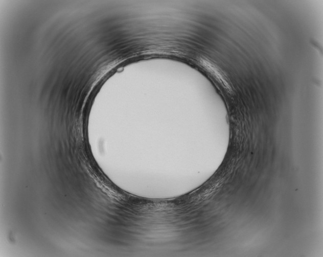 X0000096380884200802141429